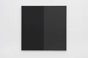 阴影（黑色）（2021年） by Steven Aalders