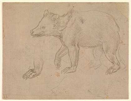 熊行走（约1482-1485年） by Leonardo da Vinci