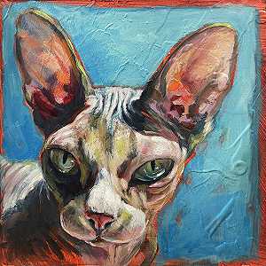 猫科小型食肉动物（2021年） by Stacy D;Aguiar