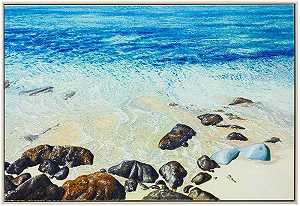 圣巴斯生动逼真的岩石和海浪海滩场景（21世纪） by Fabio Aguzzi