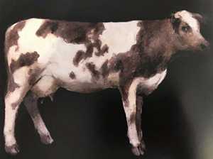 无标题（Cow）（2020） by Miguel Macaya