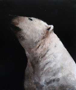 熊（21世纪） by Miguel Macaya