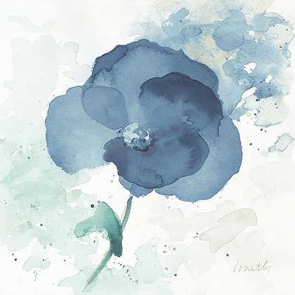 半透明蓝色罂粟花I`Translucent Blue Poppy I – 8684×8684 px