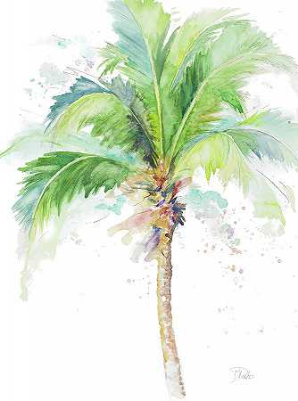 水彩画椰子树`Watercolor Coconut Palm – 9920×13328 px