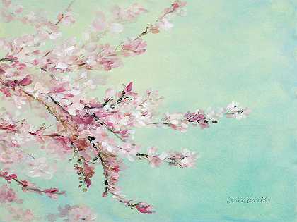 樱花娇美`Sakura Fragile Beauty – 8464×6348 px