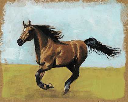 马术研究2`Equestrian Studies II – 6000×4800 px