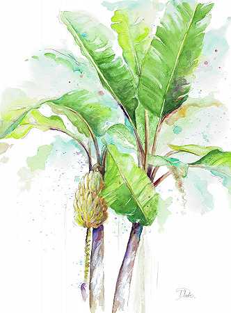 水彩香蕉芭蕉`Watercolor Banana Plantain – 10016×13536 px