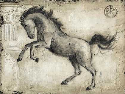 罗马马II`Roman Horse II – 7200×5400 px
