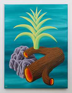 树干、植物和石头（2020年） by Michael Yaikel