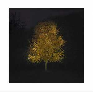 Herbst 3（2020） by Ralf Peters