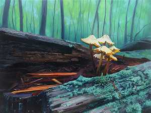 蘑菇森林（2020） by Alexandra Pacula