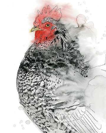 普利茅斯公鸡一号` – 4800×6000px