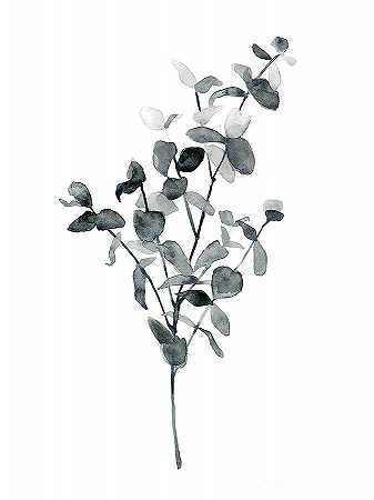 布鲁姆植物Iv` – 3600×4800px