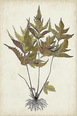 蕨类植物II – 4800×7200px