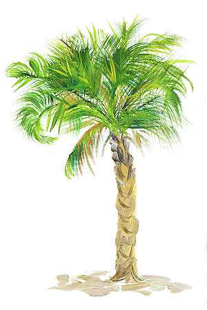 棕榈日Viii – 5400×8100px