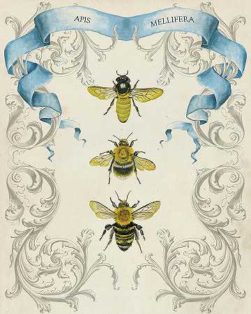蜜蜂与花丝II – 4800×6000px