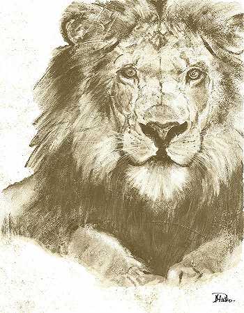 沉默的狮子 – 11476×14756px
