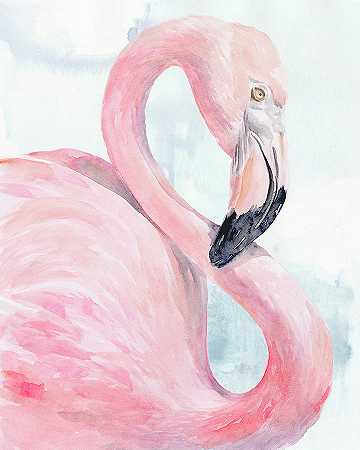 粉红火烈鸟肖像一 – 4800×6000px