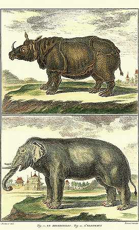 狄德罗大象和犀牛 – 3150×5175px