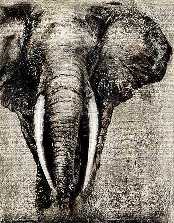 报纸上的大象 – 11431×14696px