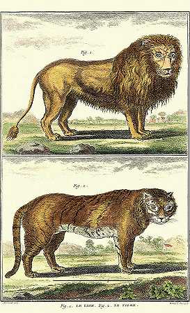 狄德罗的《狮子与老虎》 – 3150×5175px