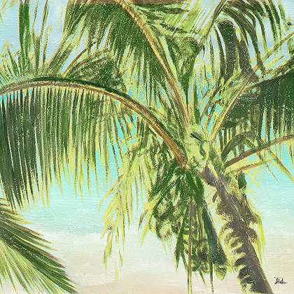 明亮椰子树II – 3600×3600px