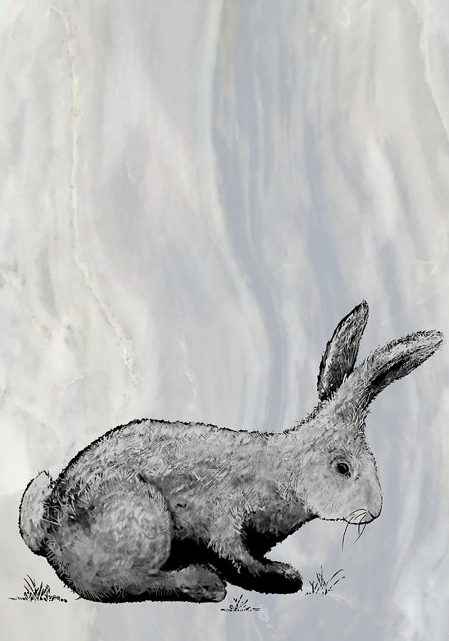 大理石Iv上的兔子 – 2800×4000px