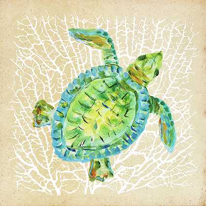 海洋生物海龟 – 9897×9897px