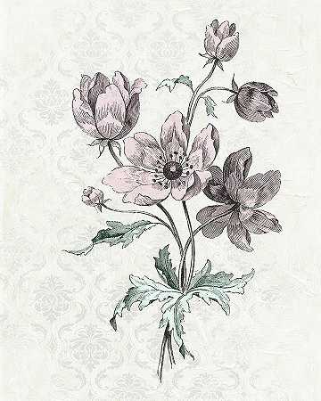 维多利亚花朵II – 4800×6000px