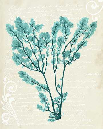 蓝绿色海藻V – 4800×6000px