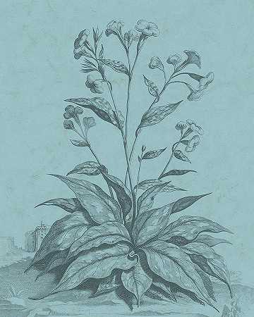 蓝绿色植物Vi – 4800×6000px