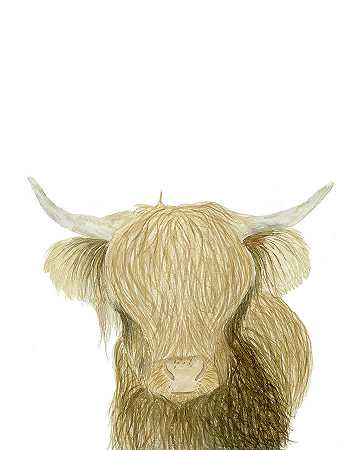 苏格兰高地牛 – 2475×3075px