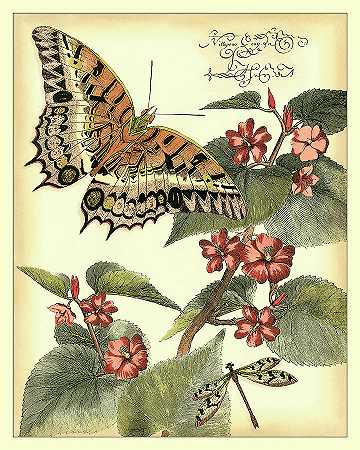 异想天开的蝴蝶2 – 4200×5250px