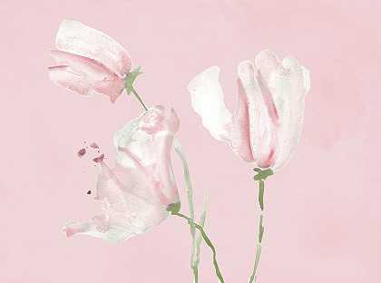 粉色花朵之梦我 – 8304×6186px