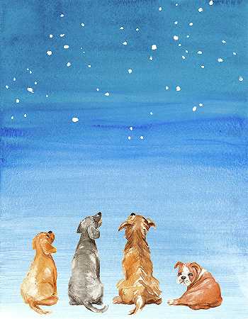 四只狗凝视星星 – 5681×7305px