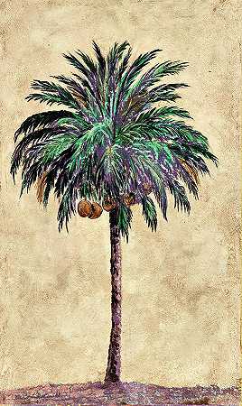 椰子部落棕榈一号 – 2515×4215px