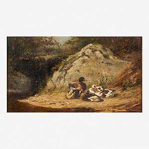 无题（鸭子）（1832） by Arthur Fitzwilliam Tait