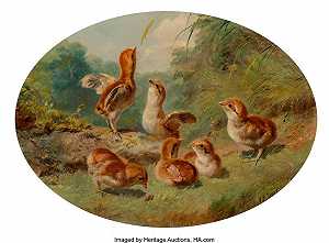 皱褶松鸡（1860） by Arthur Fitzwilliam Tait