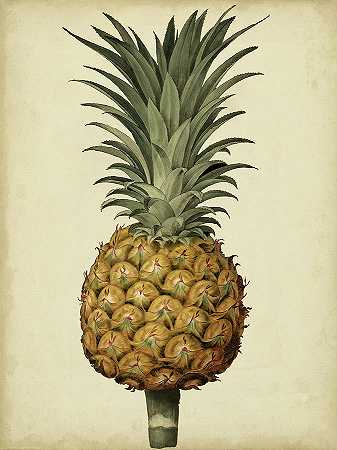 布鲁克肖古董菠萝II – 5400×7200px