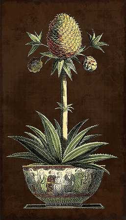 盆栽菠萝I – 4800×8400px