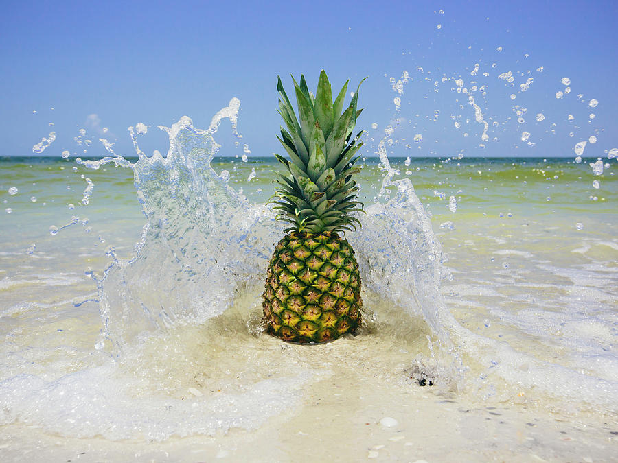 南佛罗里达菠萝IIi – 4800×3600px