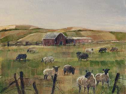 放牧绵羊2 – 7200×5400px