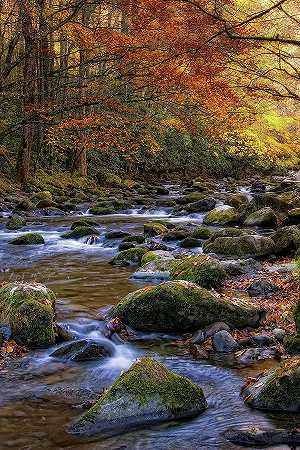 小河上的秋天 – 4800×7200px