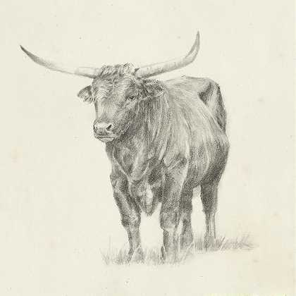 长角牛 – 5400×5400px