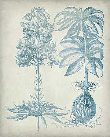 蓝色壁画花卉I – 7200×9000px