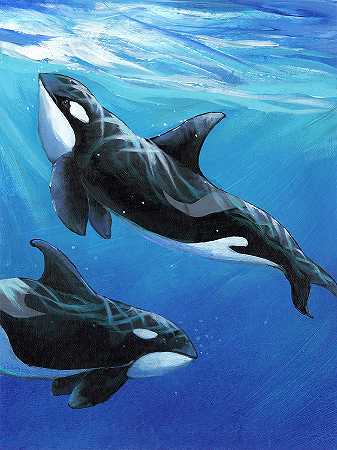 海底鲸鱼2 – 3600×4800px