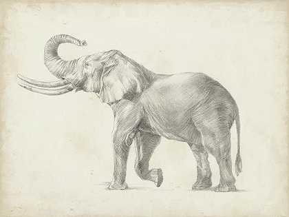 大象素描一 – 7200×5400px