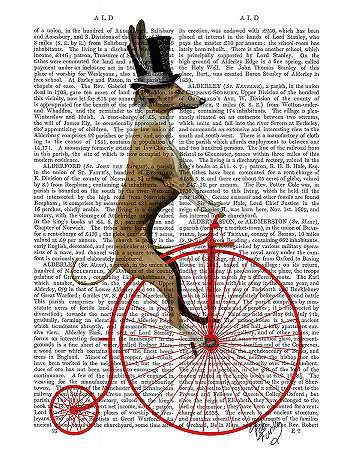 灰狗骑着红色的便士自行车 – 3300×4200px