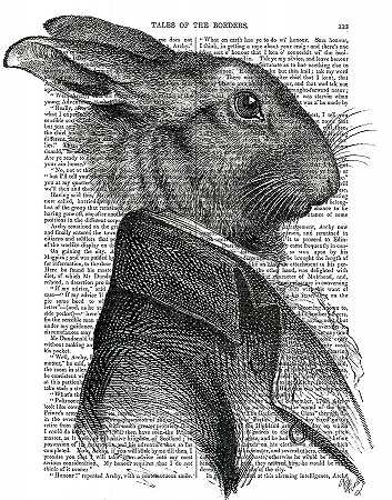 兔子肖像资料 – 3300×4200px