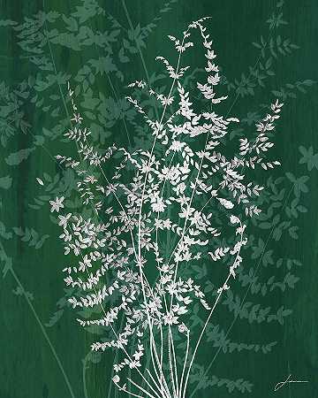 宝石蕨类植物II – 4800×6000px